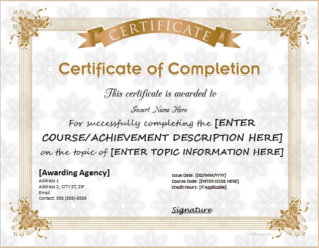 Certificates Of Completion Templates For Ms Word Professional Certificate Templates