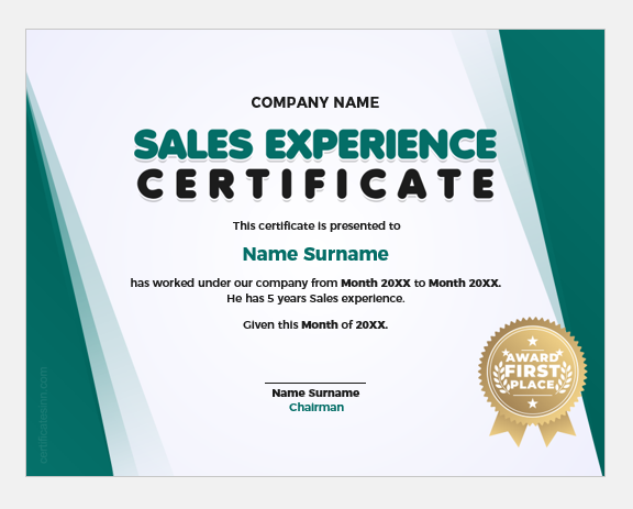 Experience Certificate Template