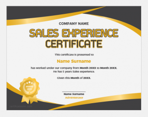 5 Best Sales Experience Certificate Templates 